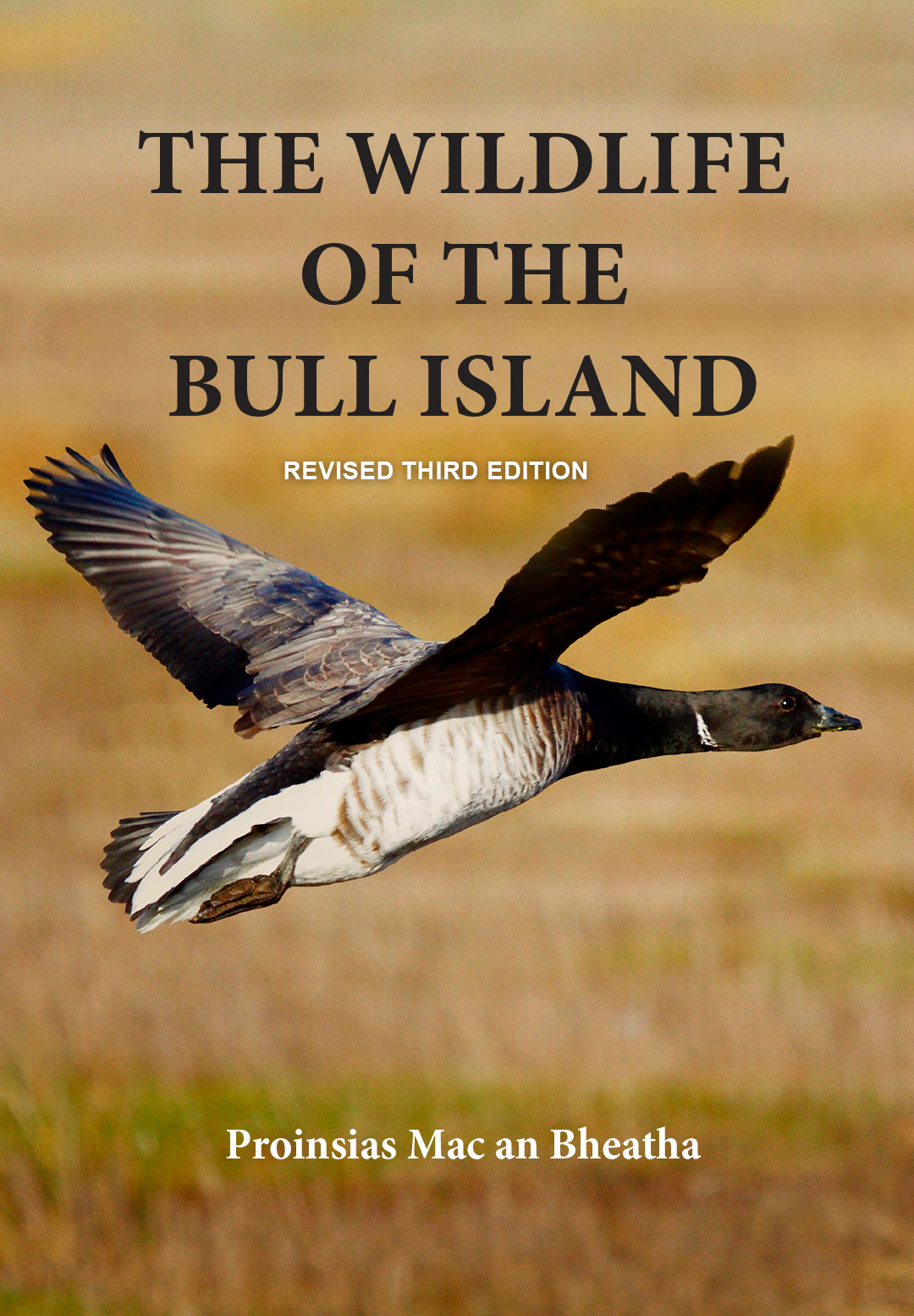 wildlife-of-the-bull-island-frontcover-third wildlife-of-the-bull-island-frontcover-third