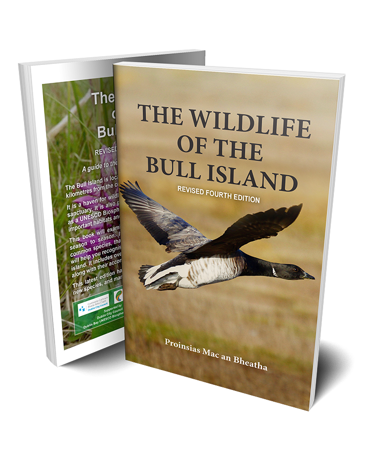 wildlife-of-the-bull-island-book-white