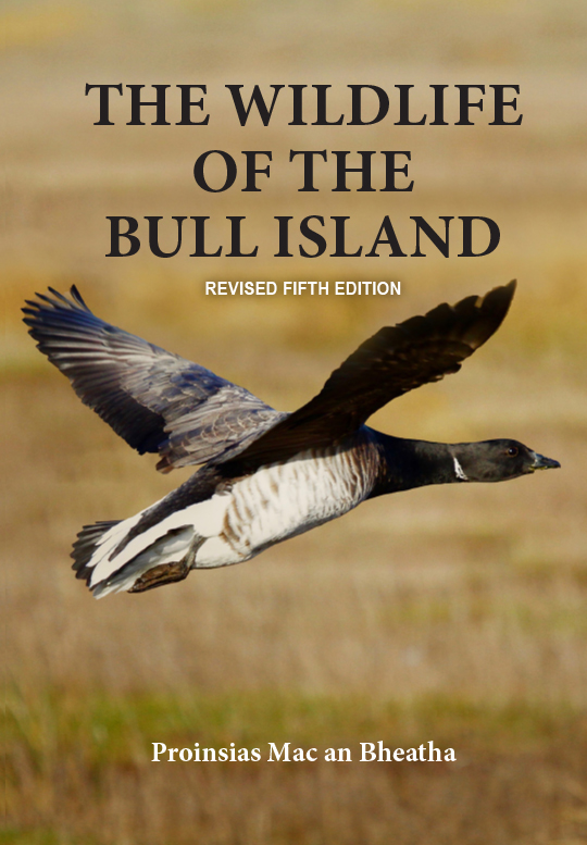 wildlife-bullisland-book-front-single-v5